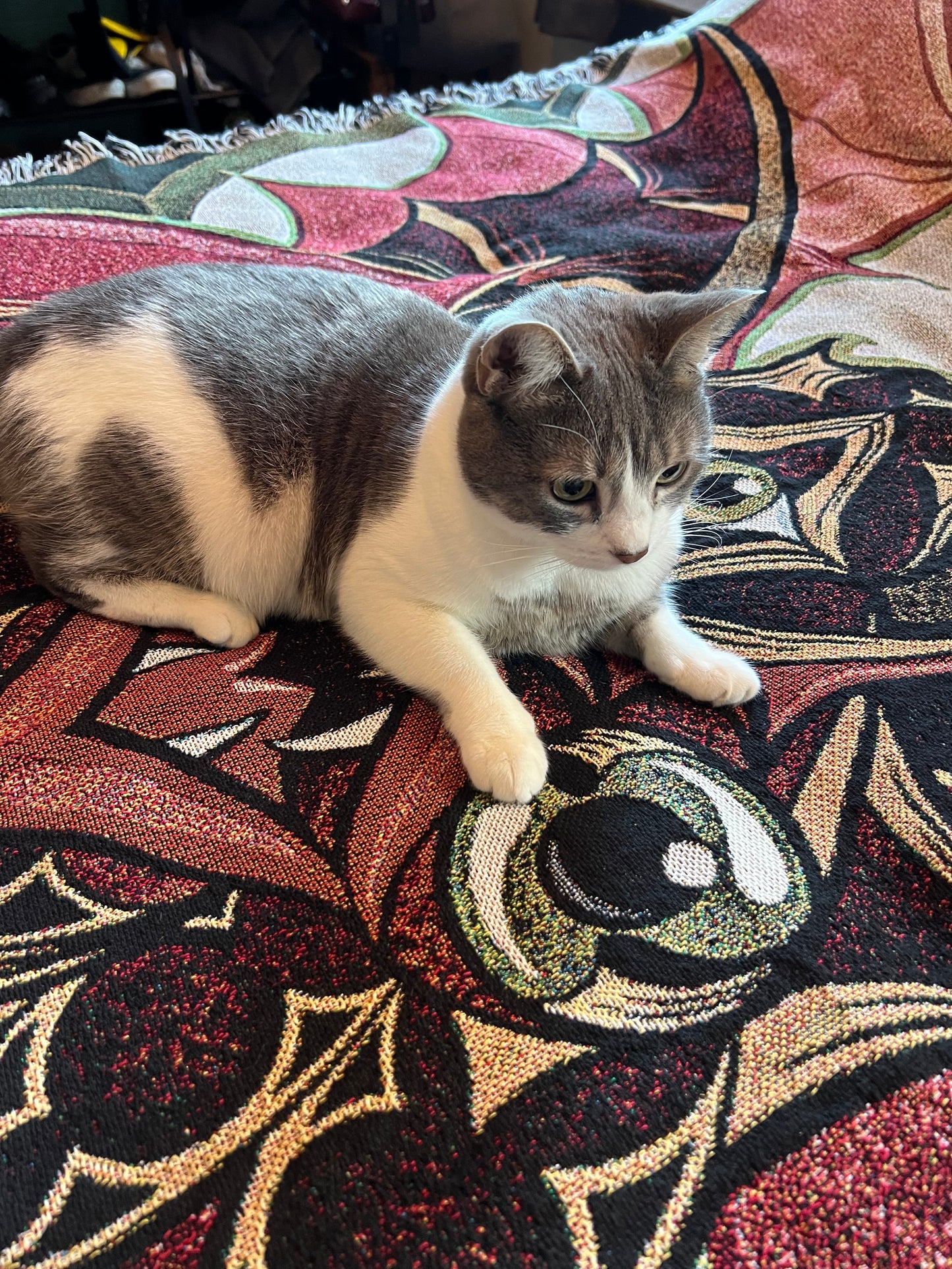 Blanket of Doom: Biblically Accurate Bat Dude Edition