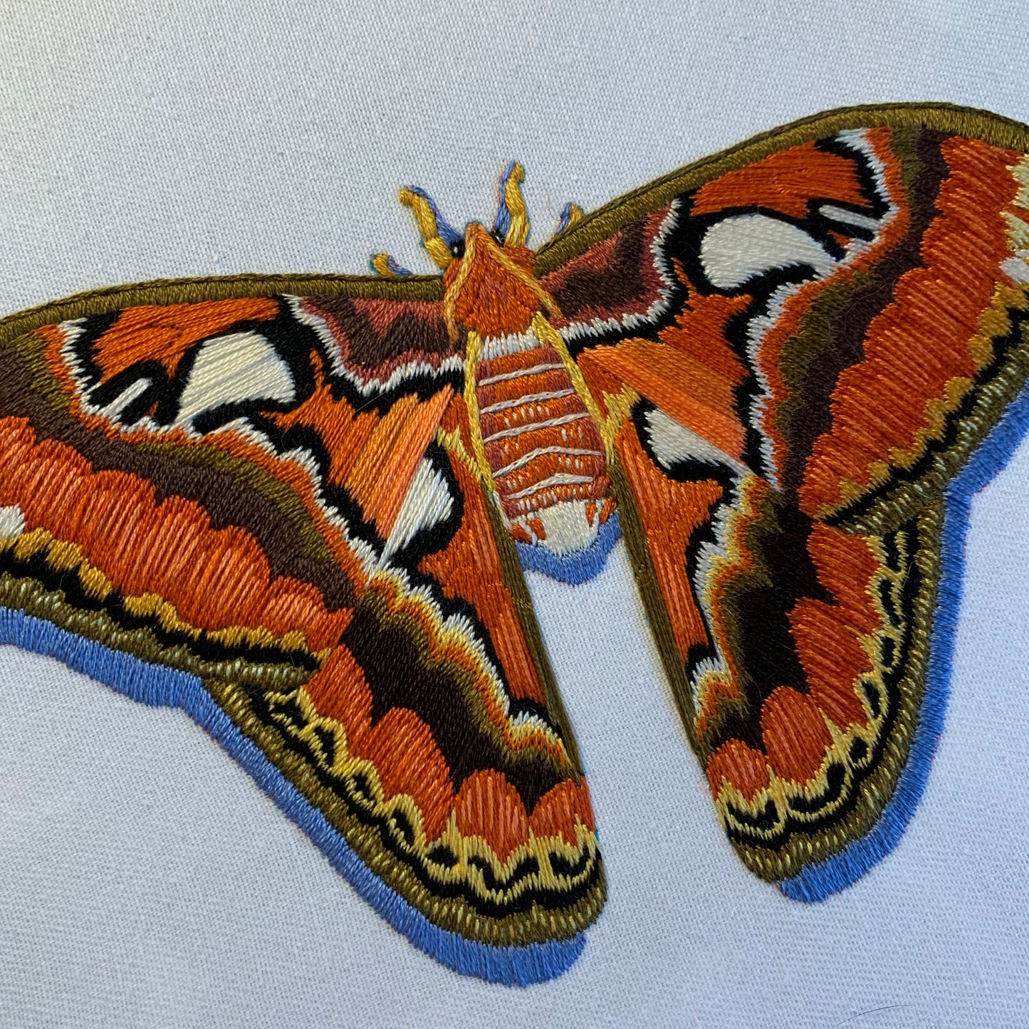 Atlas Moth Hand Embroidery
