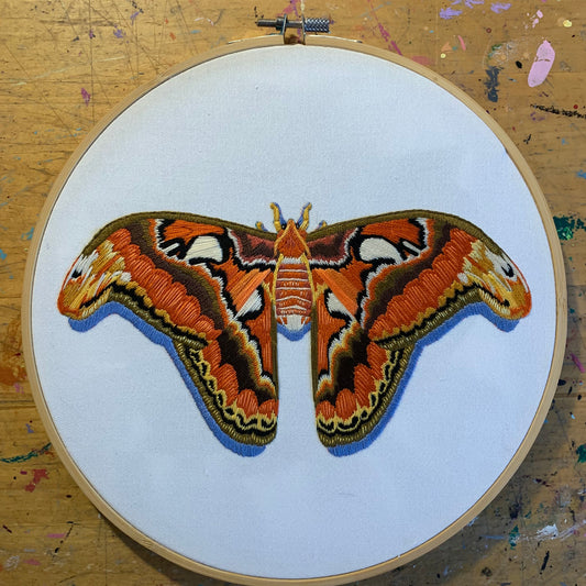 Atlas Moth Hand Embroidery