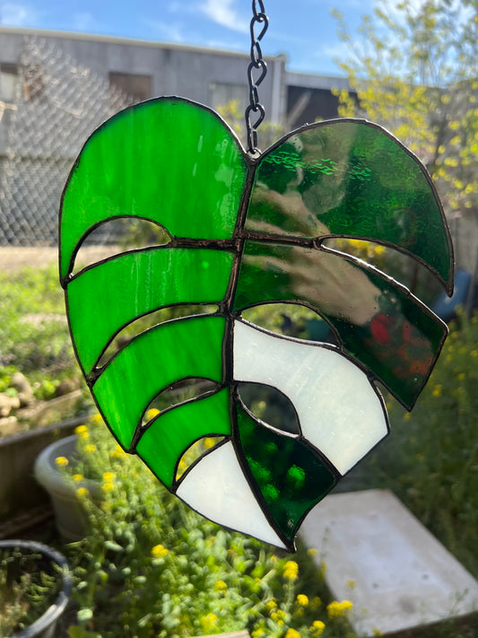 XL Monstera Leaf Original Stained Glass
